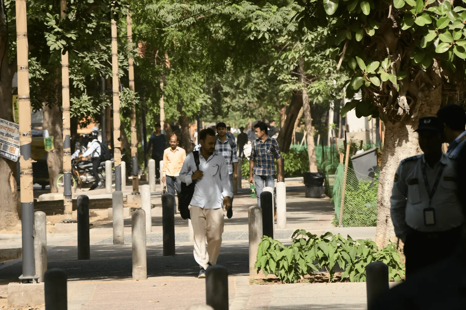 A quiet, tree-shaded street where people walk beside protective bollards