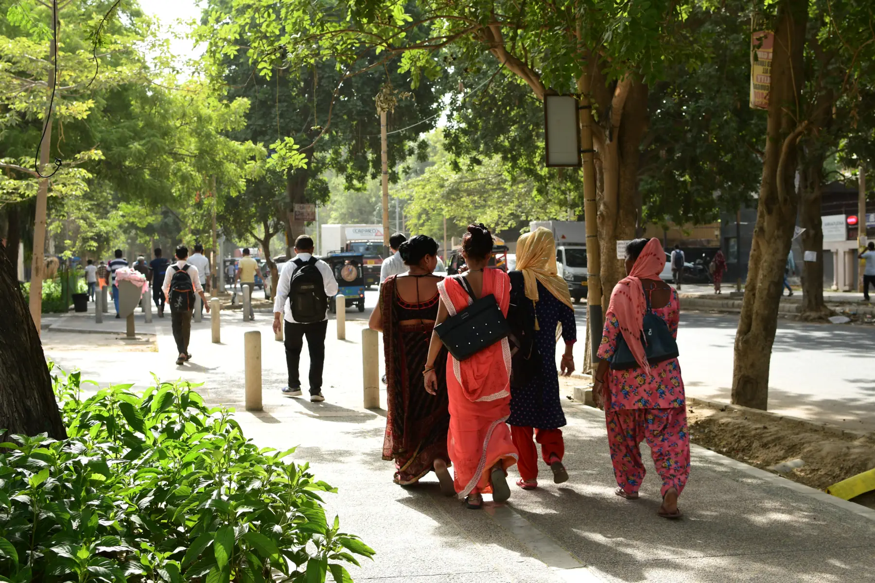People walking together along a green, shaded public street